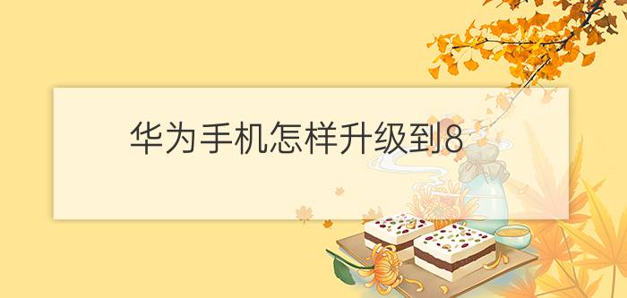 华为手机怎样升级到8.0.8版 华为手机升级教程